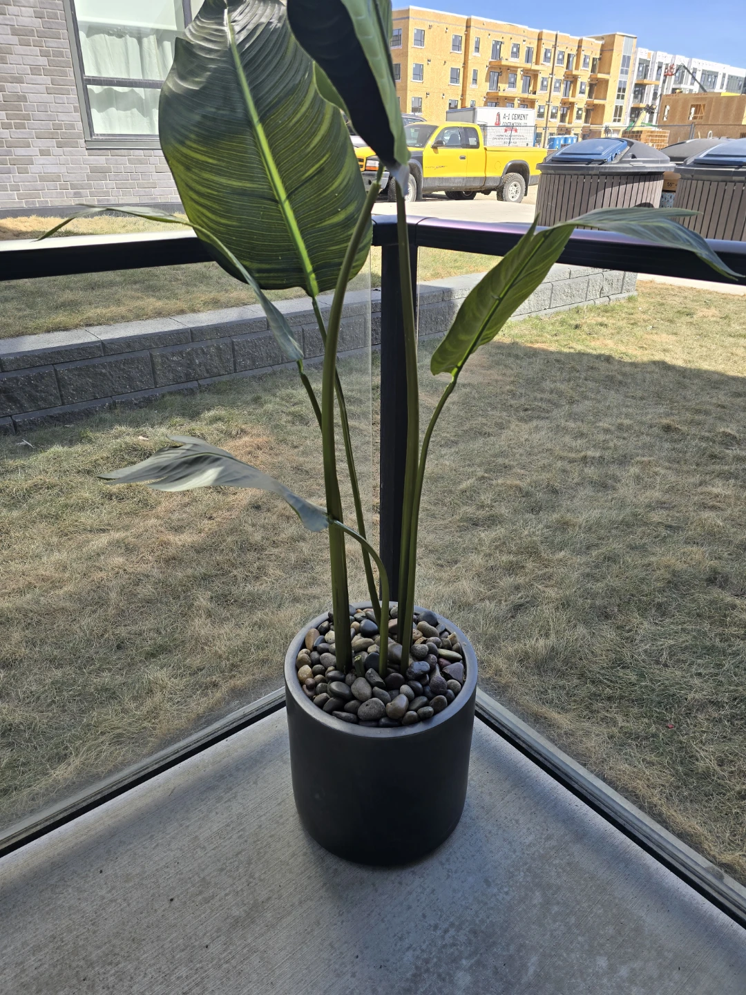 Artificial Bird of Paradise Plant in Pot