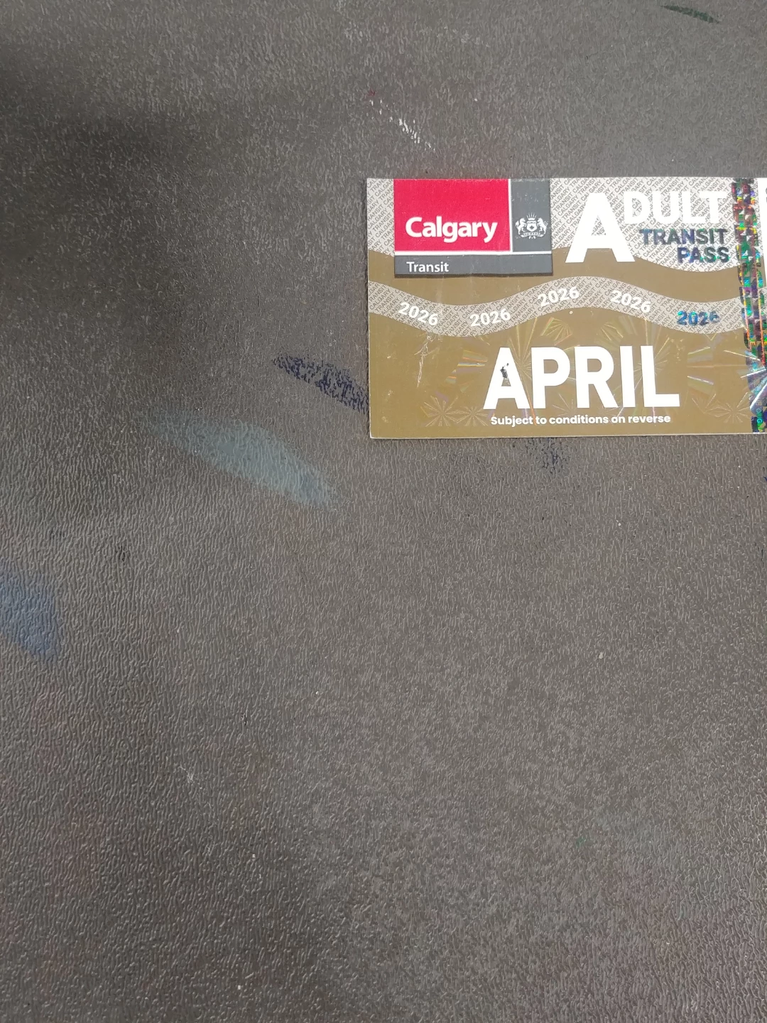April Bus Pass