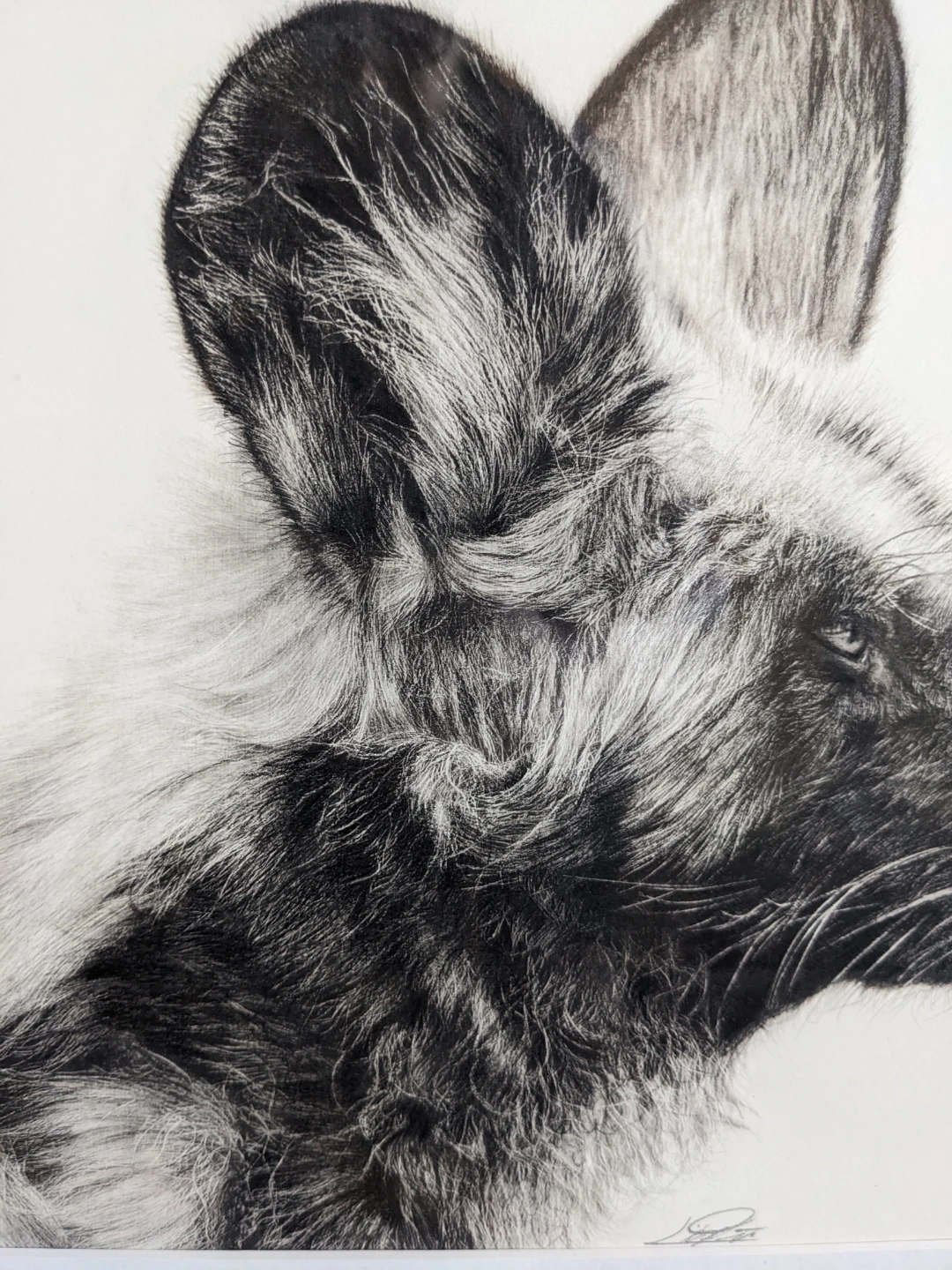 Framed African Wild Dog Art Print 1/10 - photo 3