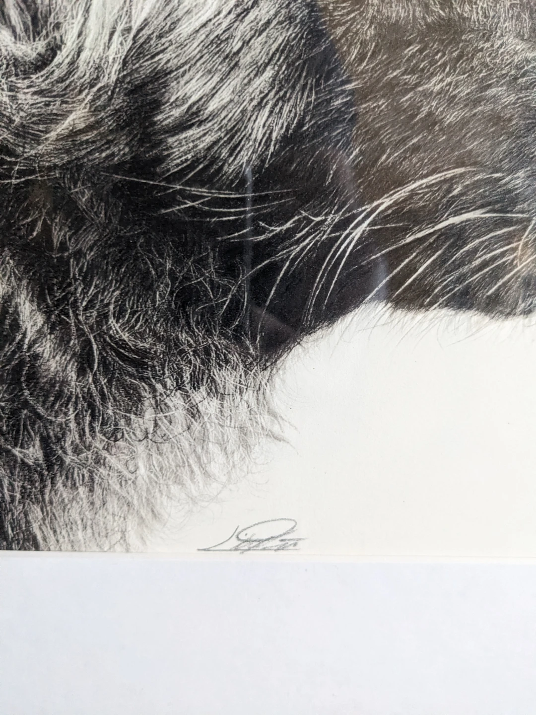 Framed African Wild Dog Art Print 1/10 - photo 5