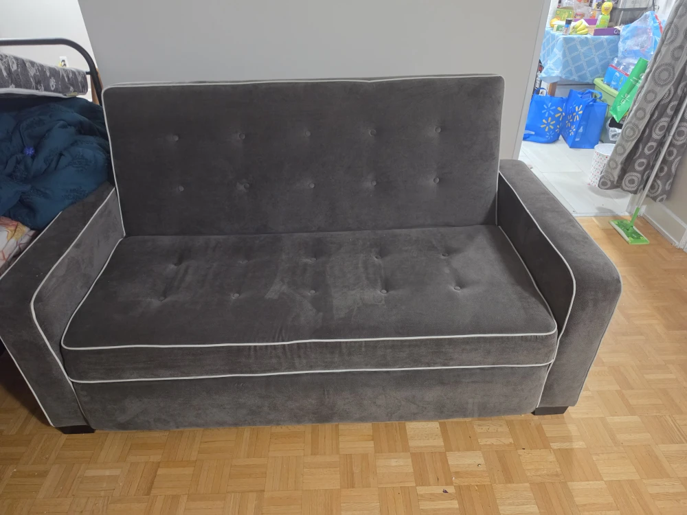 Serta Queen Sofa Bed - photo 2