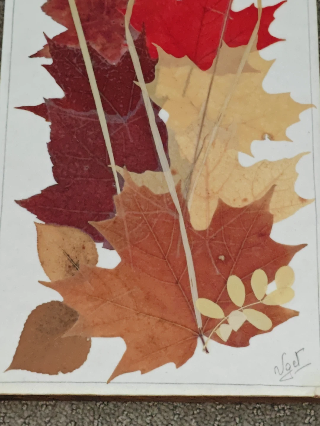 Pressed Leaf Wall Art Autumn Harvest by UGET Originals - 7"x14" - photo 3