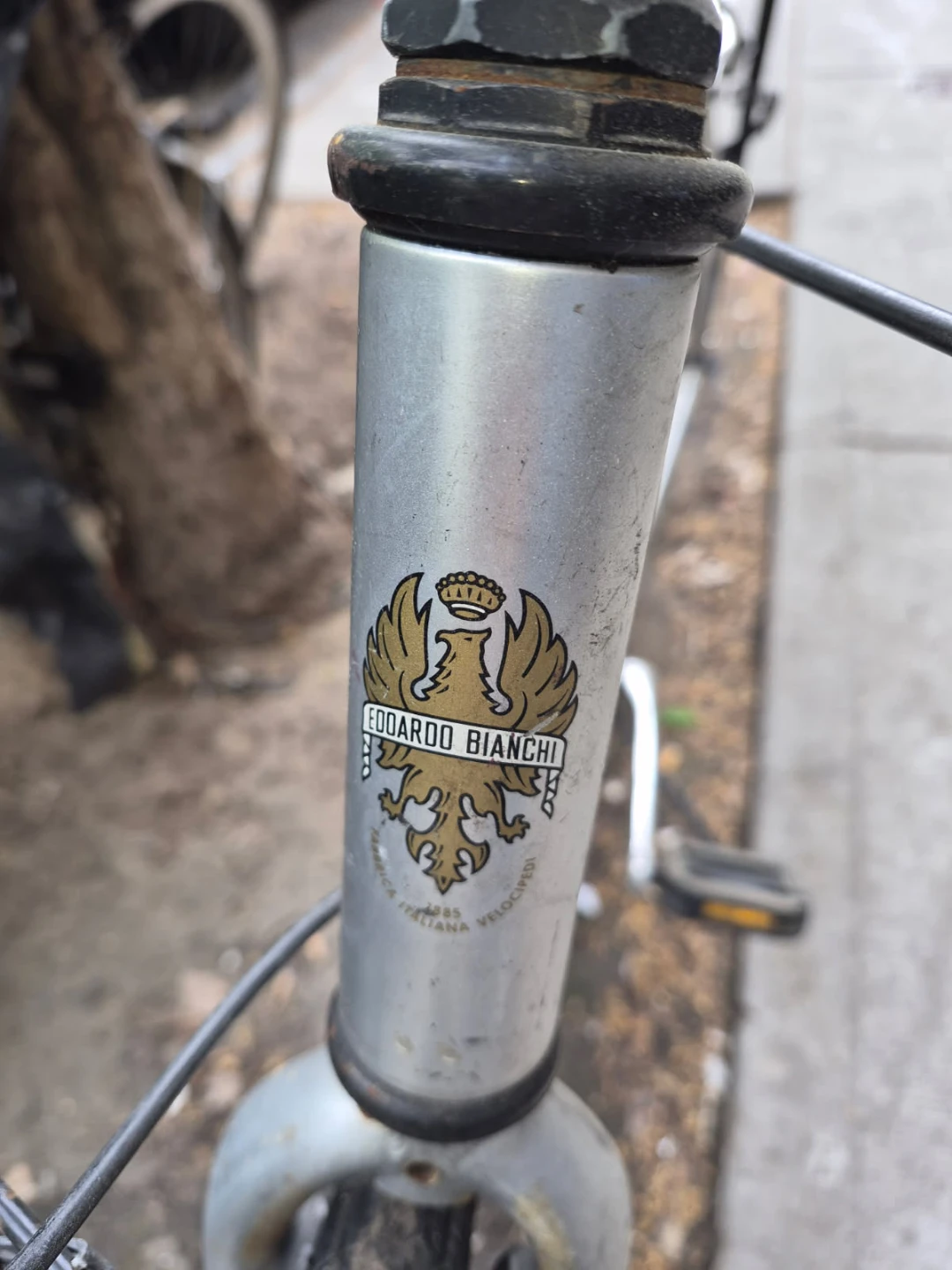 Vintage Bianchi Edoardo Bicycle 24 in. frame - photo 2