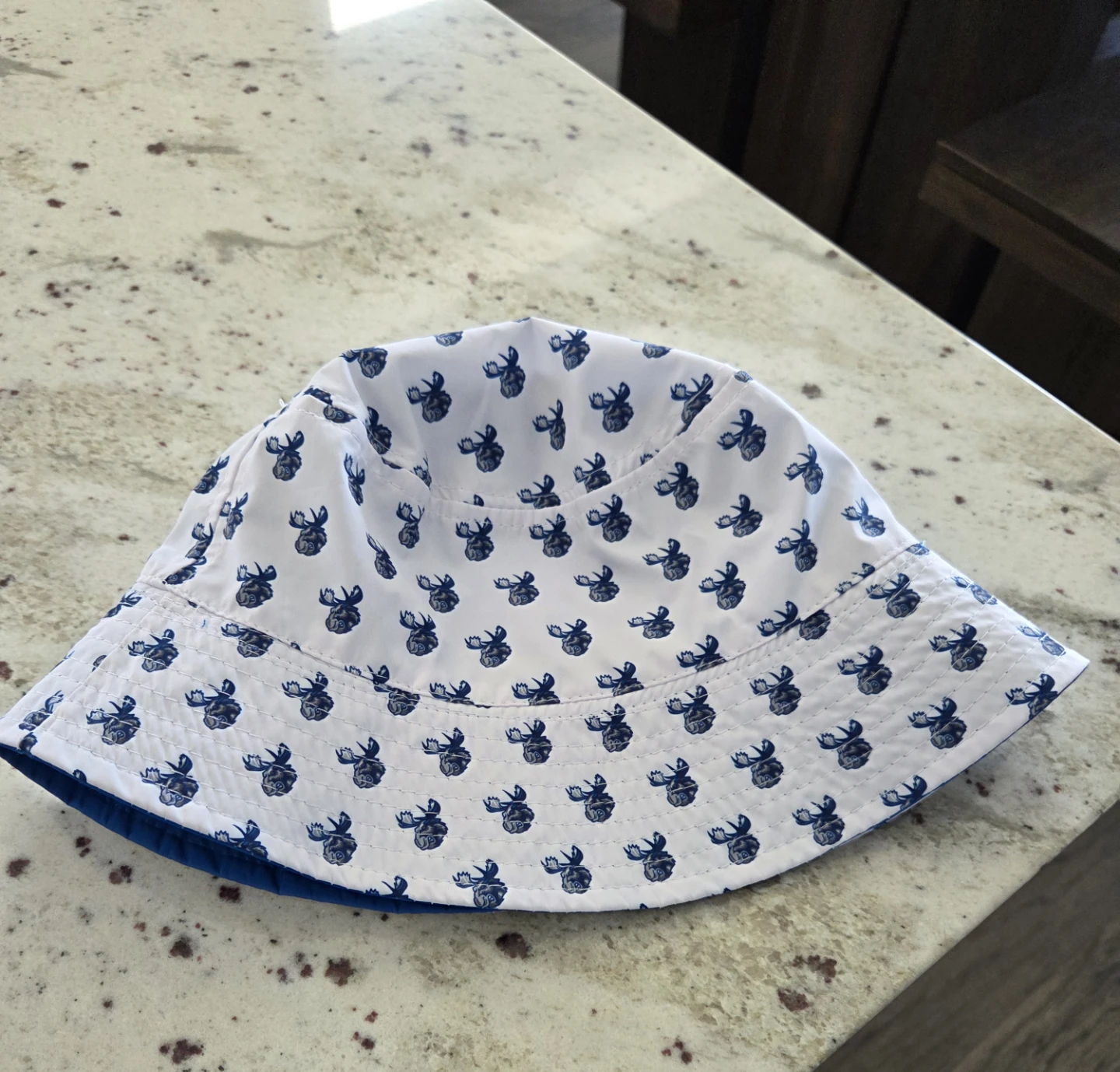 Manitoba Moose Reversible Bucket Hat - photo 5