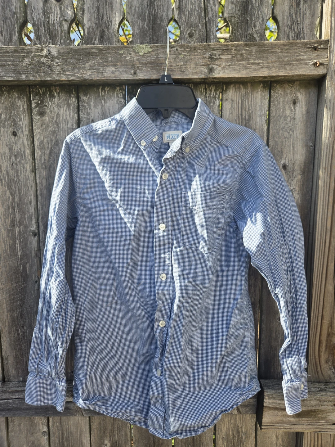 The Children's Place Blue Gingham Button-Down Shirt