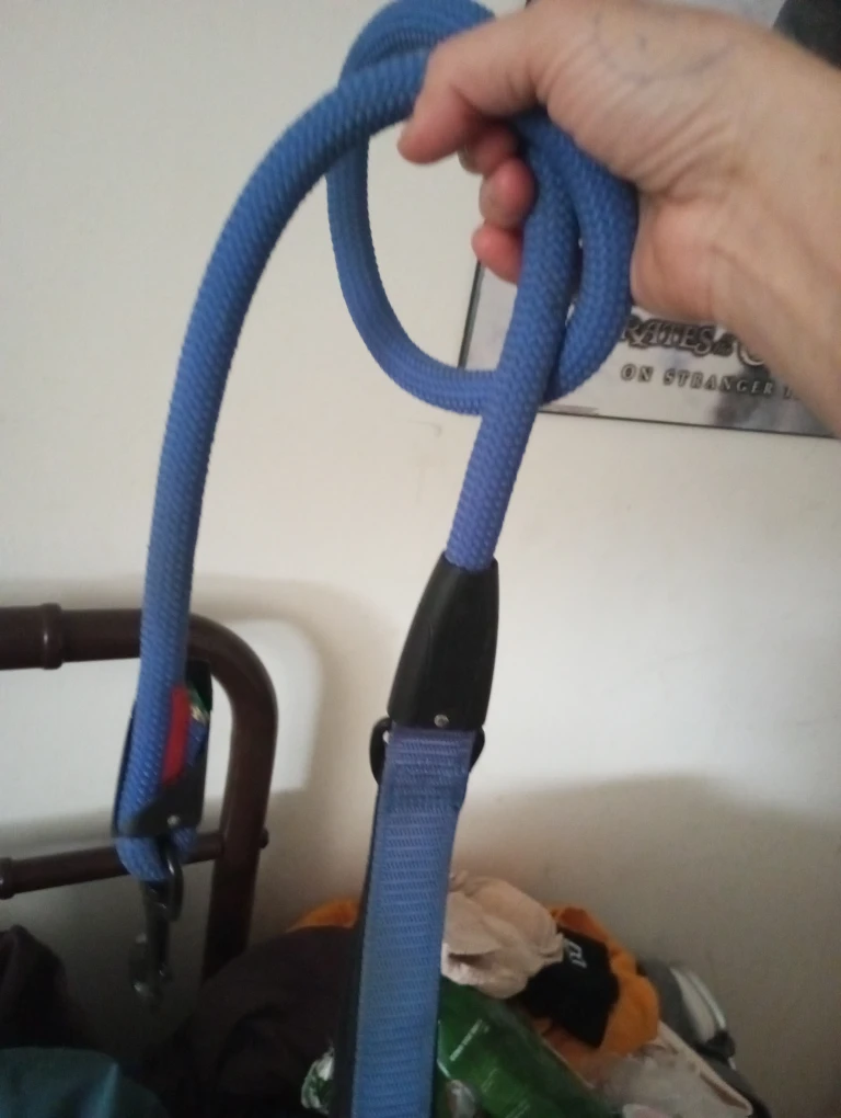Blue Rope Dog Leash