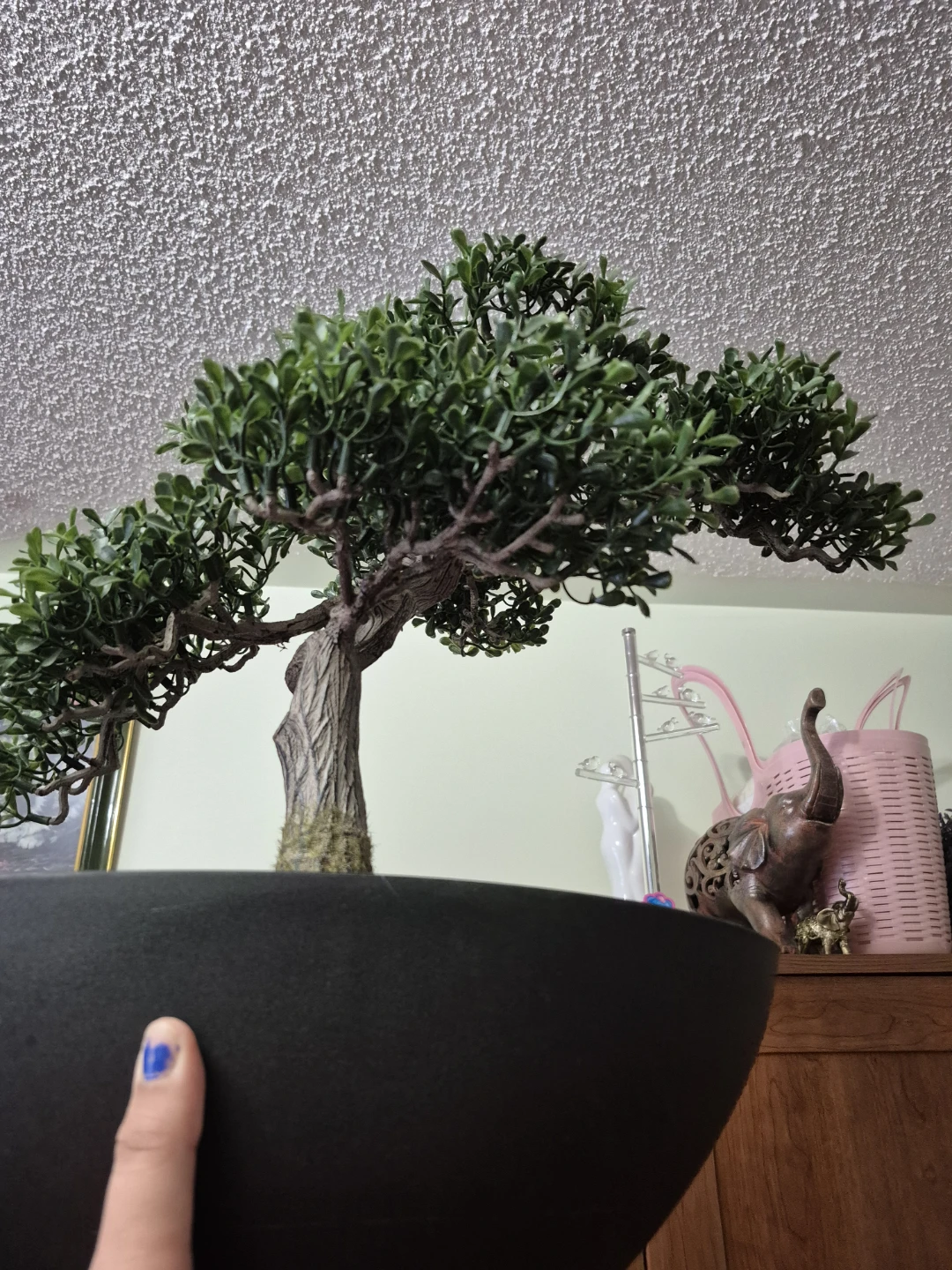 Homesense Faux Bonsai Tree in Black Pot - photo 4