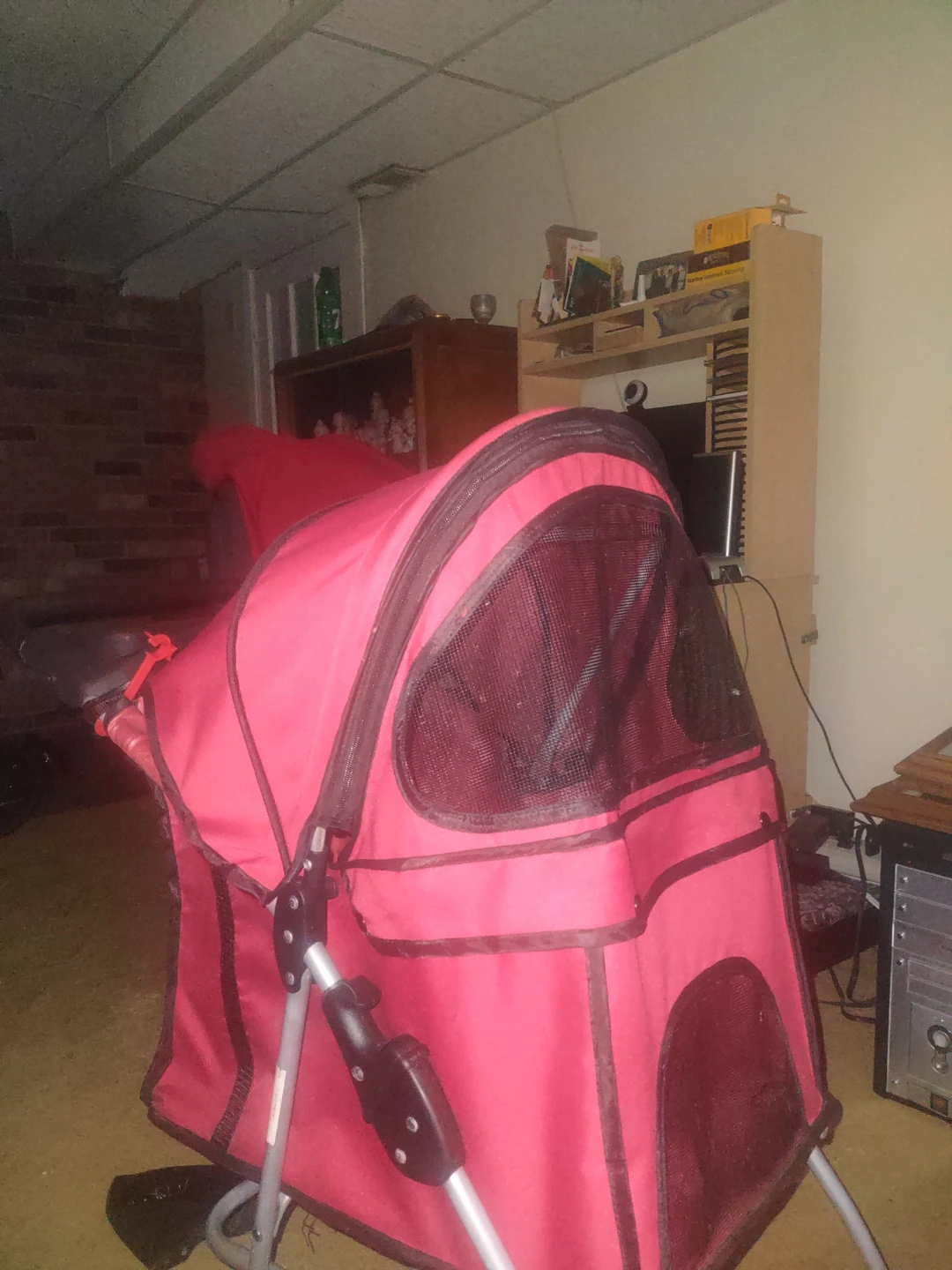 Red Pet Stroller/Carrier