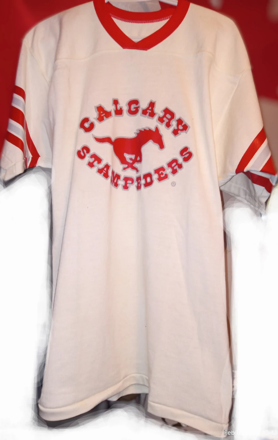 Calgary Stampeders T-Shirt