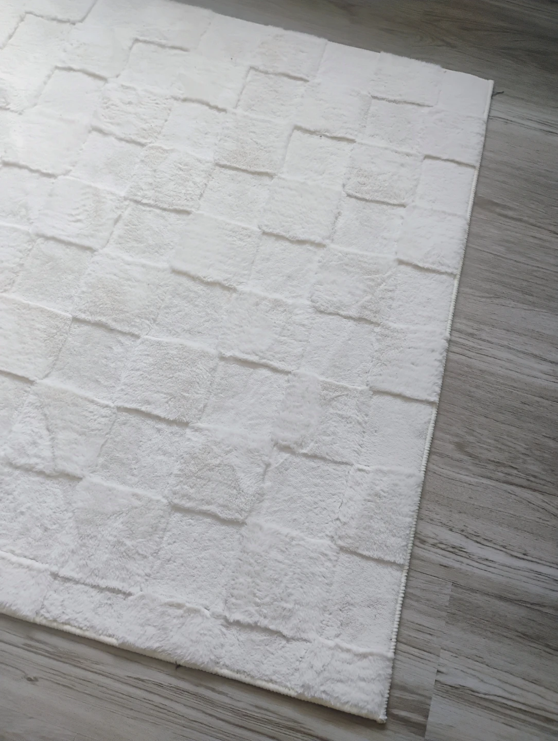 3'x5' Area Rug - photo 2