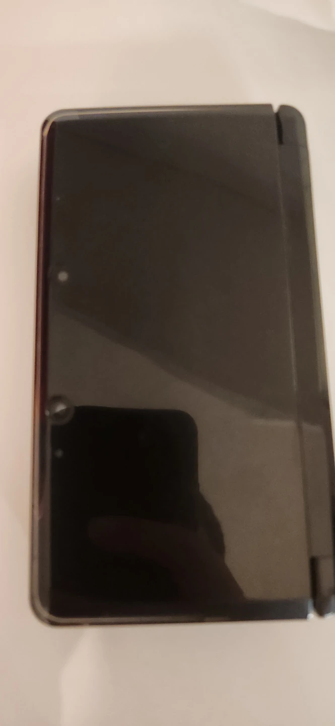 Nintendo 3DS - photo 4