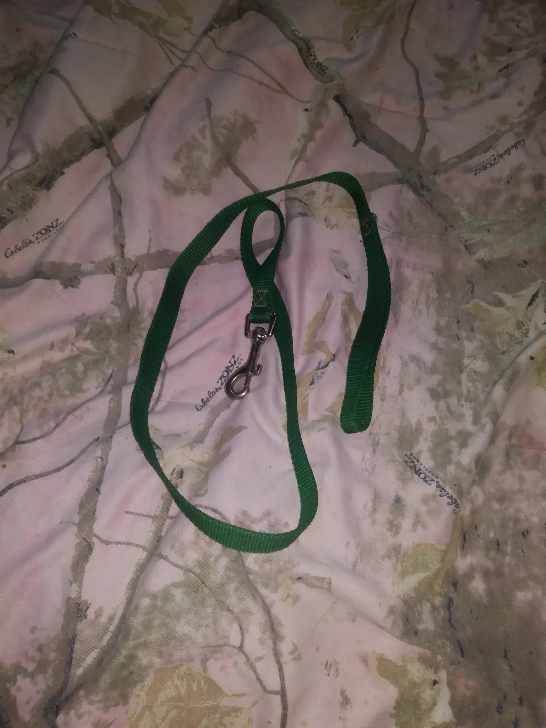 New Green Nylon Dog Leash