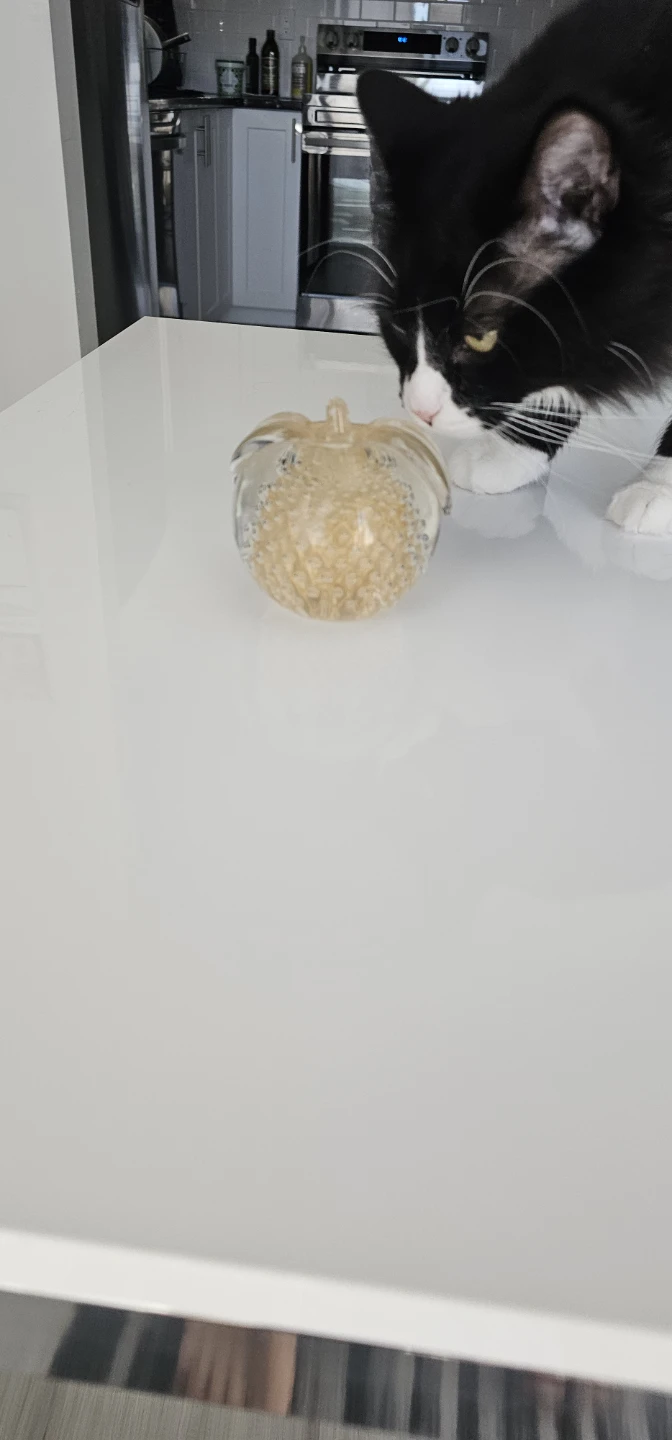 Glass Pumpkin Paperweight - photo 3