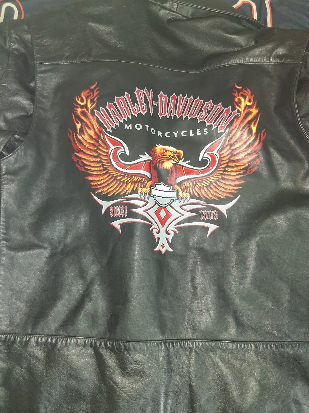 Harley-Davidson Leather Jacket