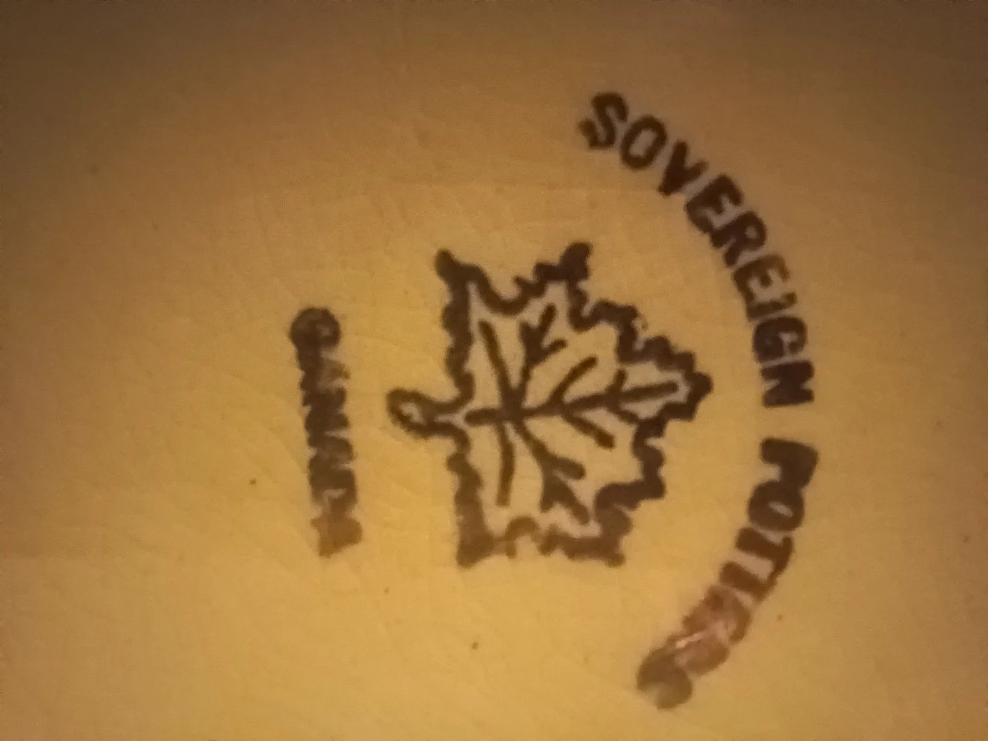 Sovereign Potters Serving Platter with Floral Design - photo 3