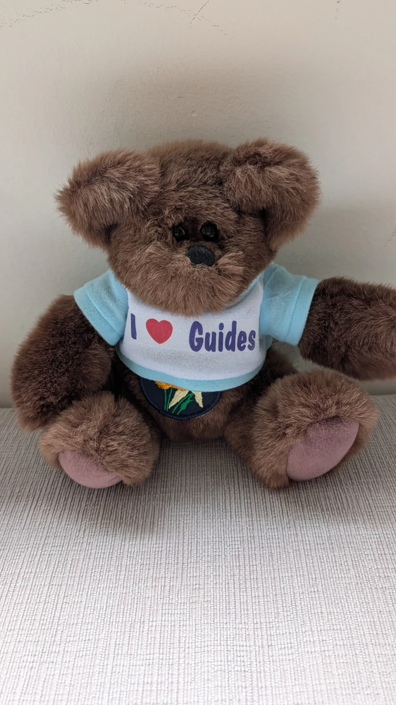 Brown Teddy Bear "I Love Guides" T-Shirt  - Girl Guide Bear