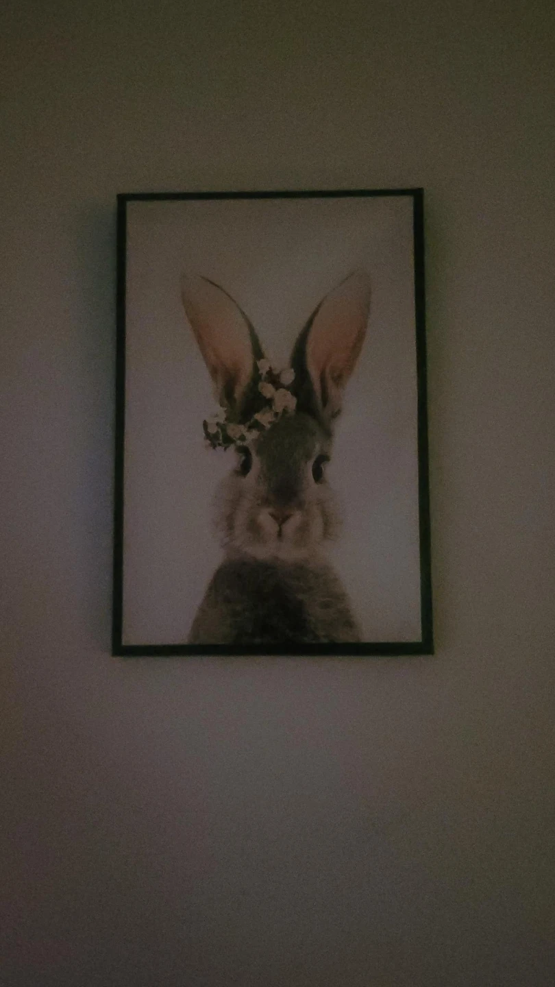 Framed Art Print - Bunny with Flower Crown