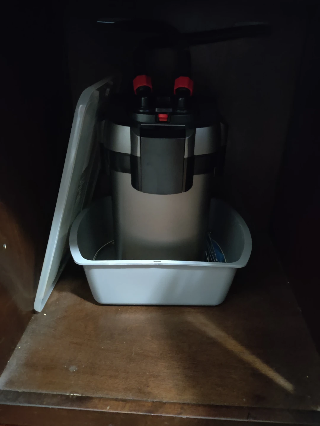 40 gallon breeder tank - photo 3