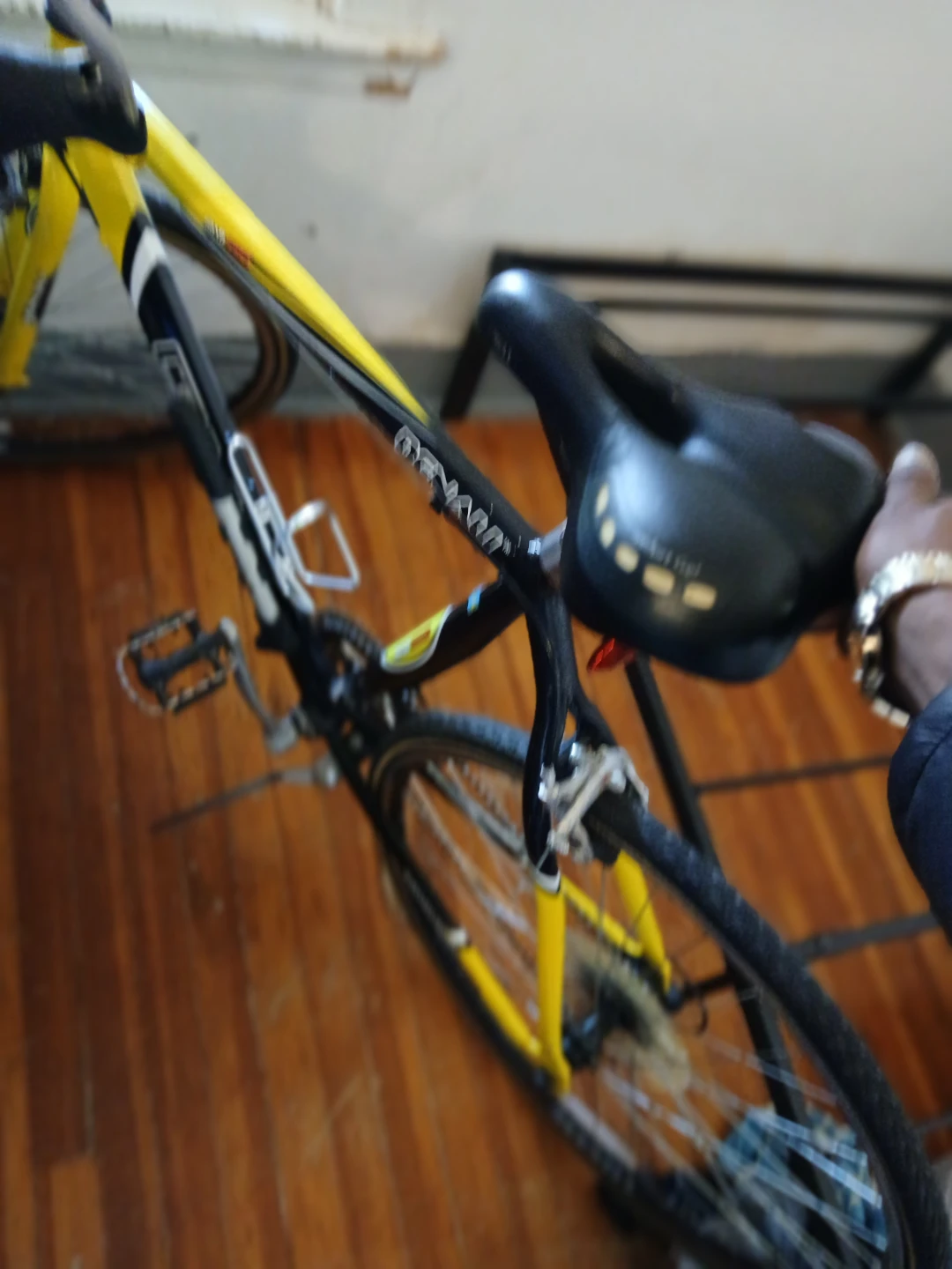 Denali Road Bike
