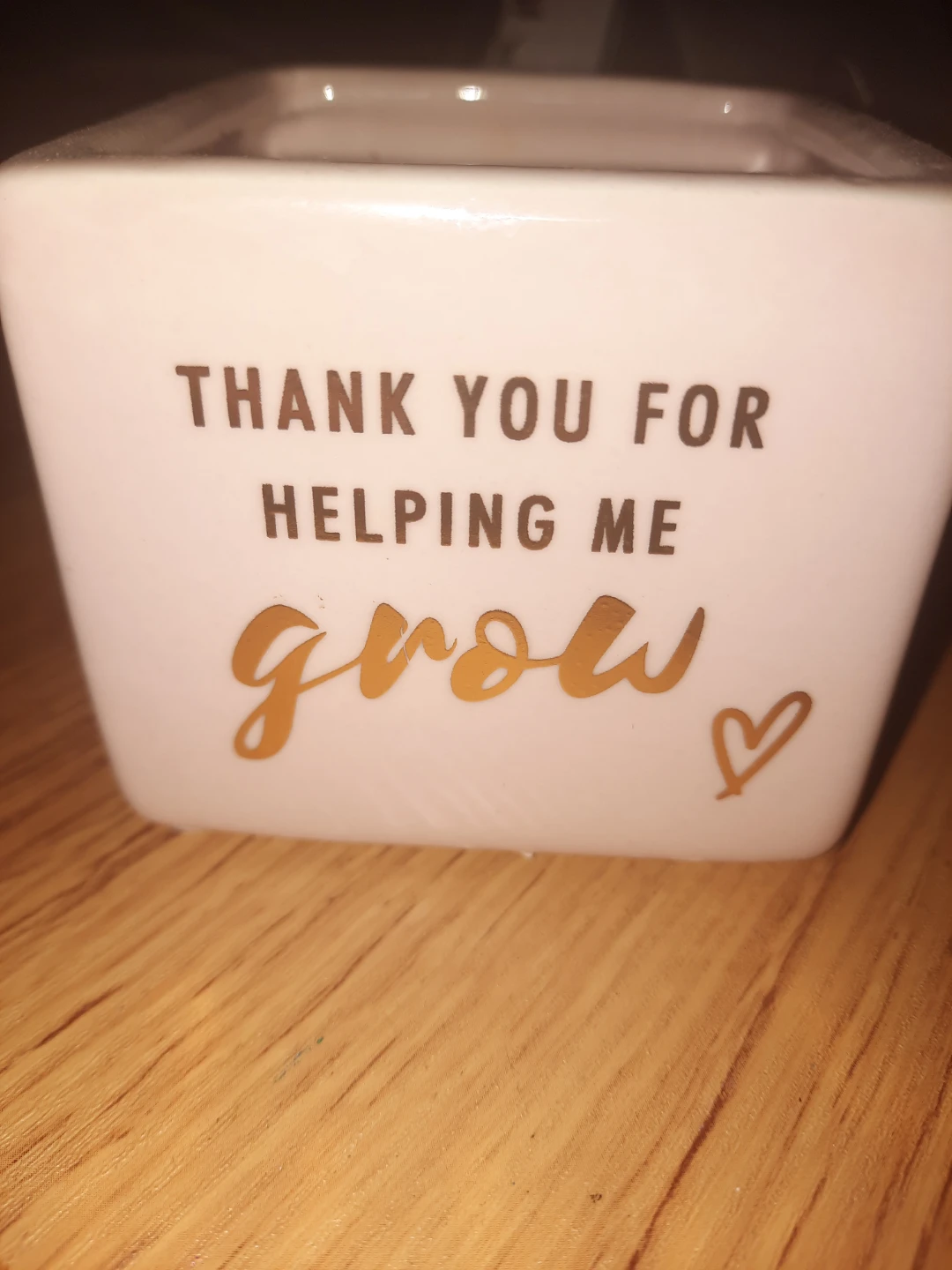 plant pot or planter. Pick up in st.albert