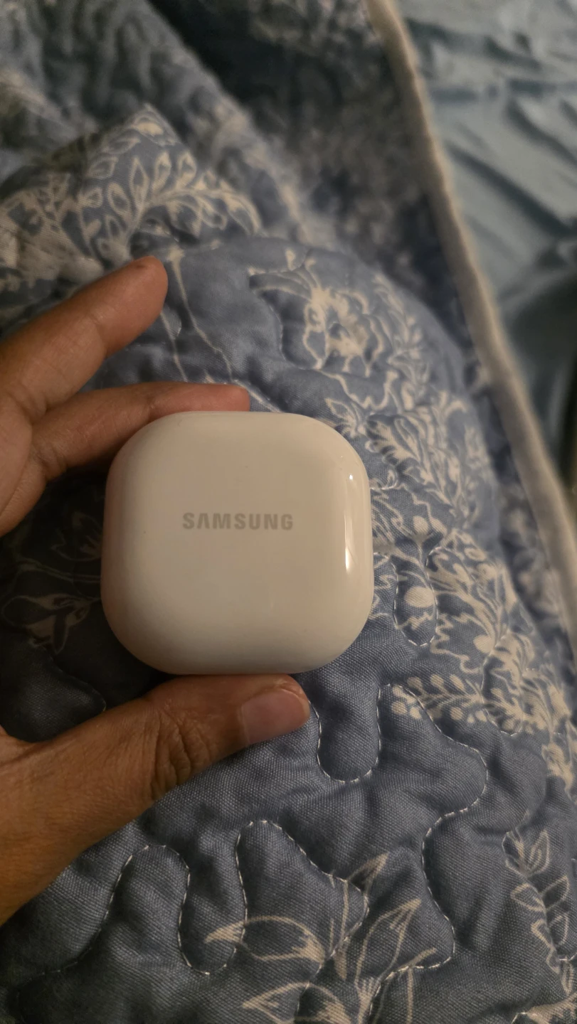 Samsung Galaxy Buds2 Charging Case