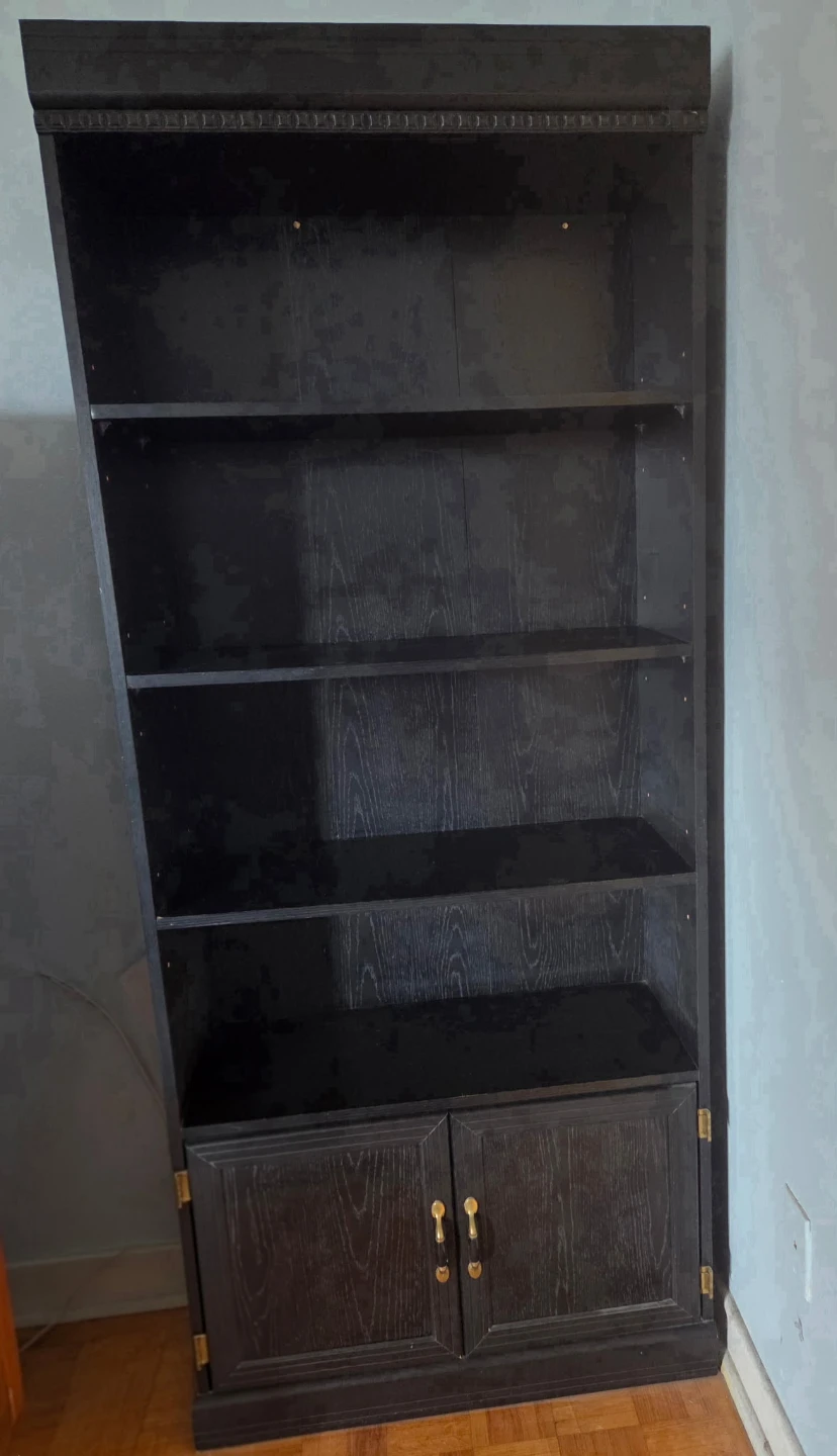 Black Wooden Bookcase with Cabinet Doors