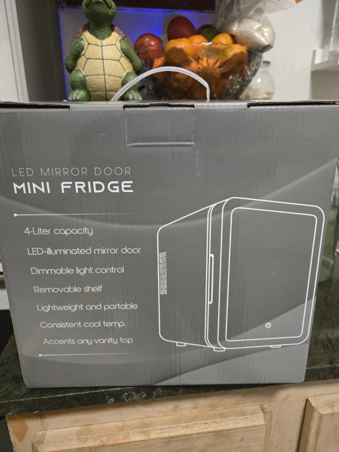 LED Mirror Door Mini Fridge - 4-Liter Capacity