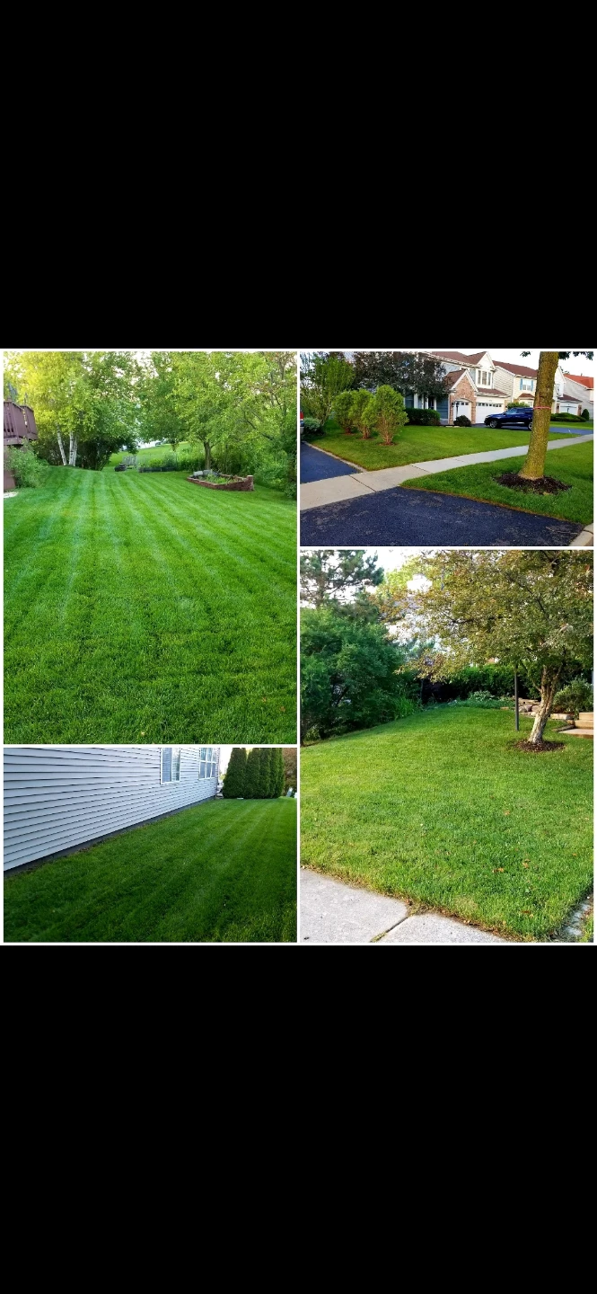 Grass Cutting