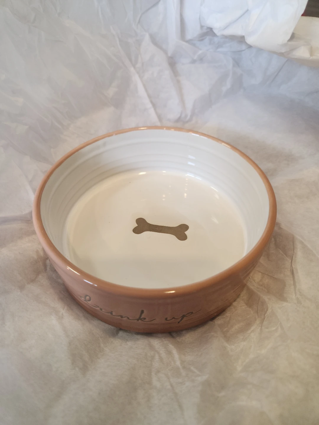 New Dog Bowl - Ceramic
