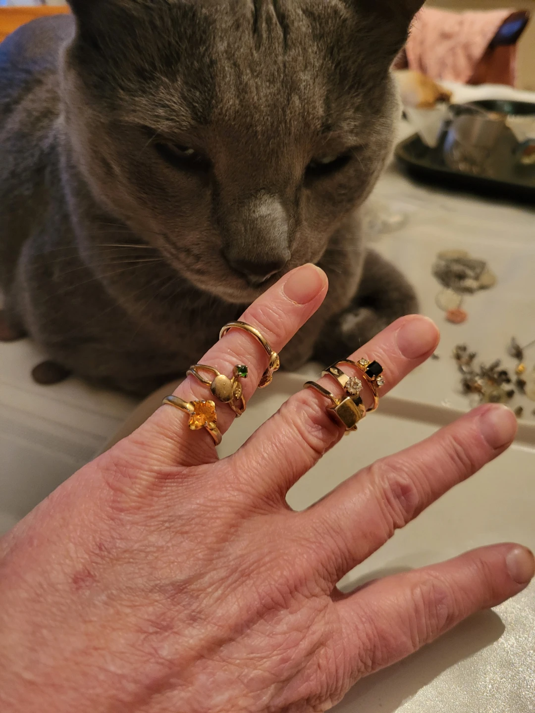 Collectionof 6 Gold-Tone Rings with Gemstones