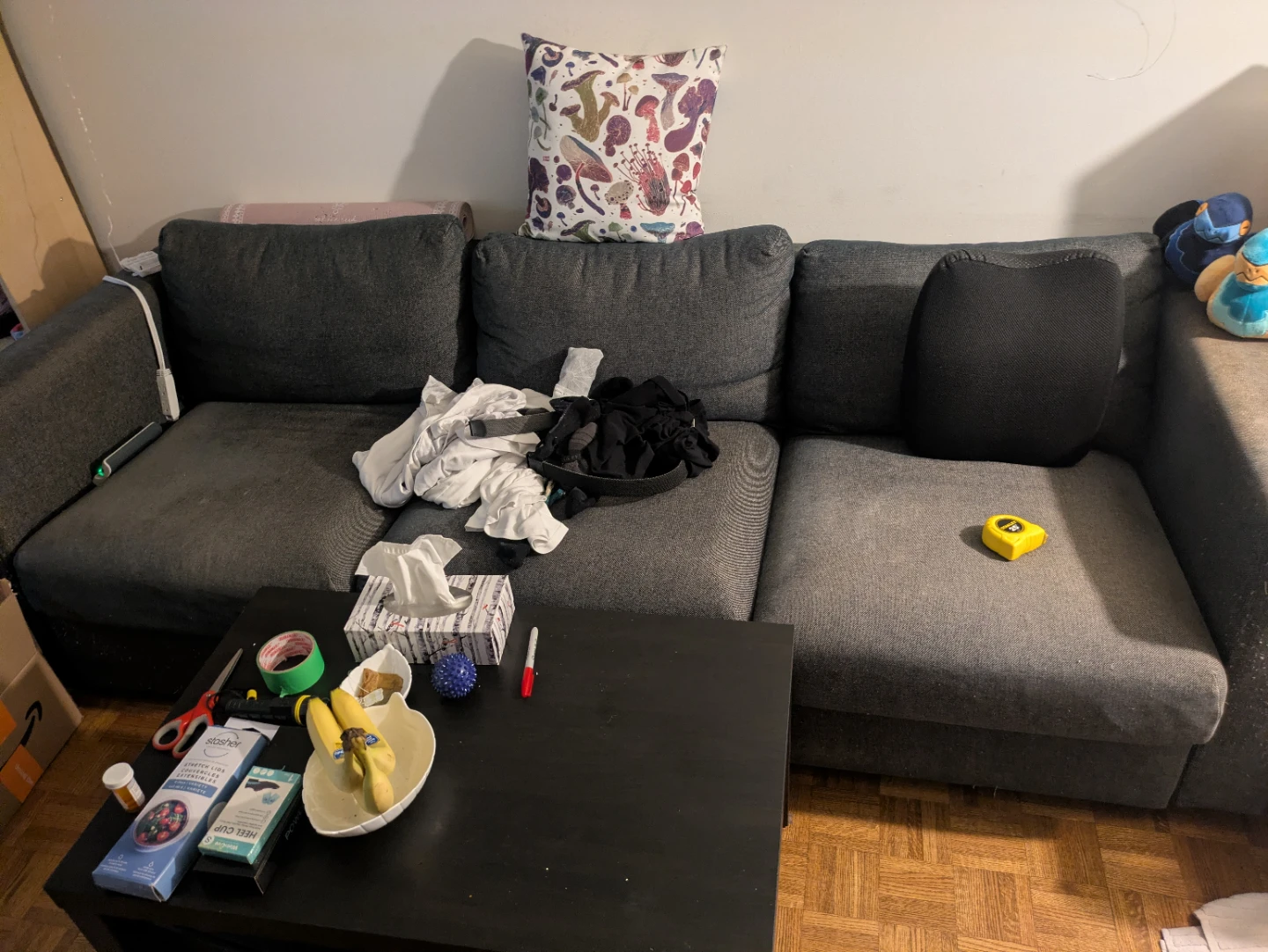 WILL PAY FOR PICKUP - Ikea Sofa