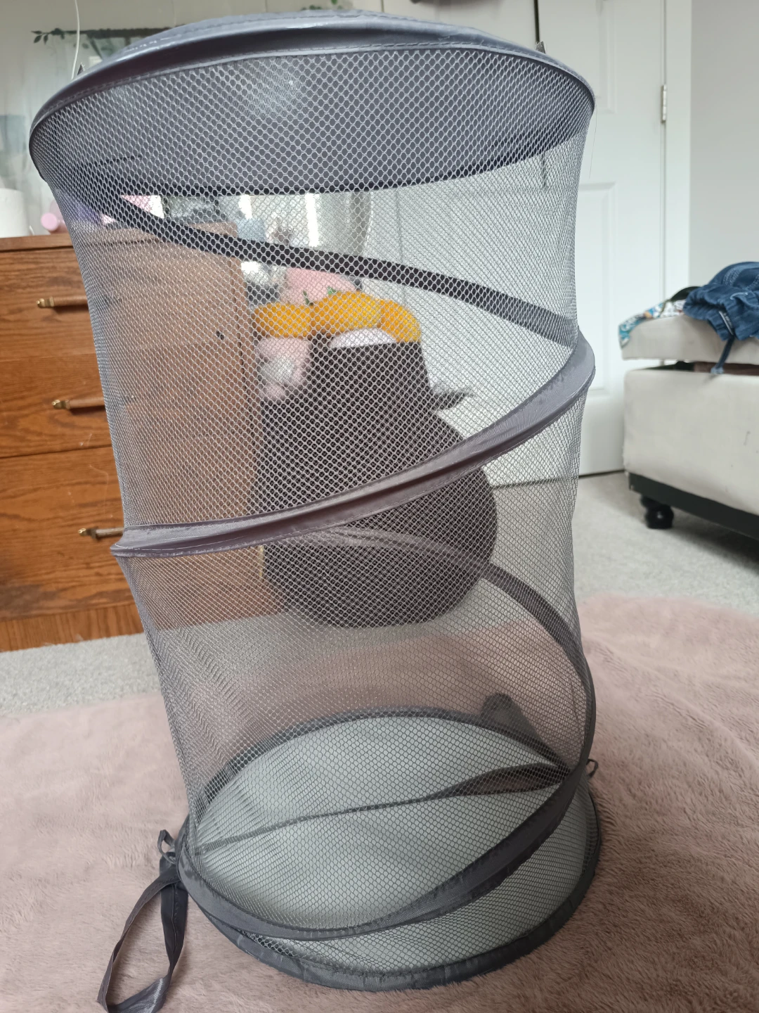 Collapsible Mesh Laundry Hamper - photo 2