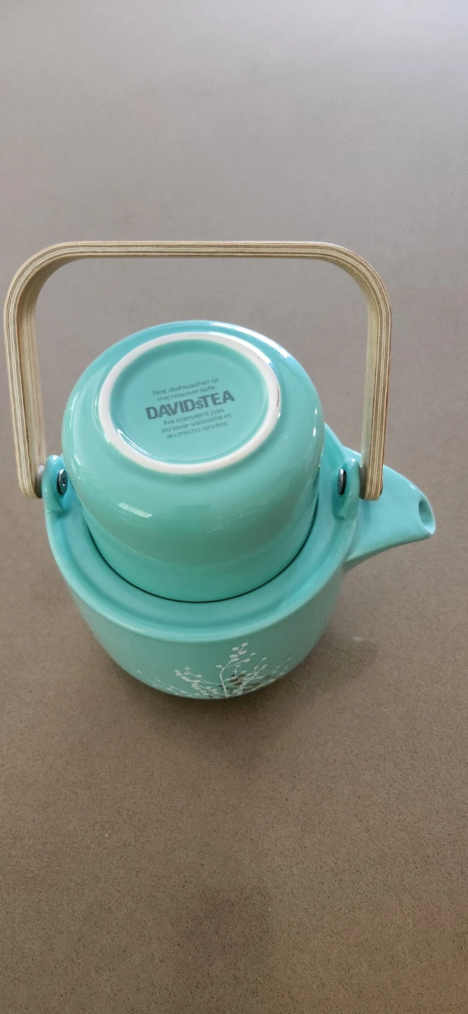 DAVIDsTEA Ceramic Teapot with Lid and Infuser - photo 4