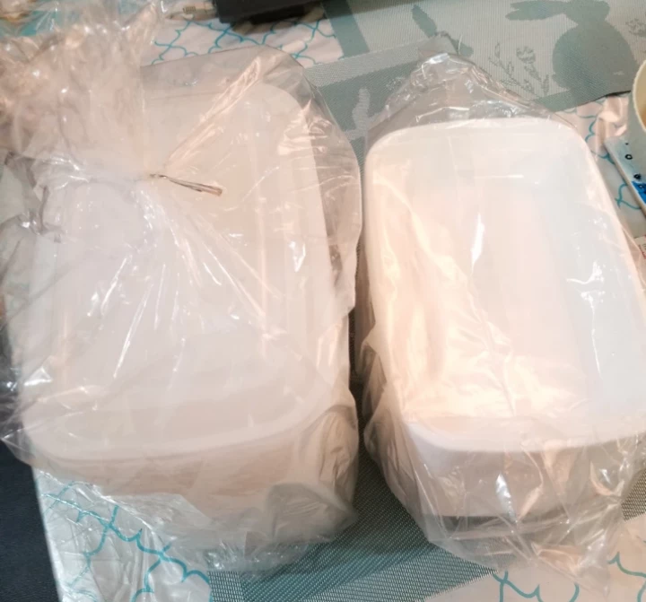 50 Rectangular 16Oz containers with lids