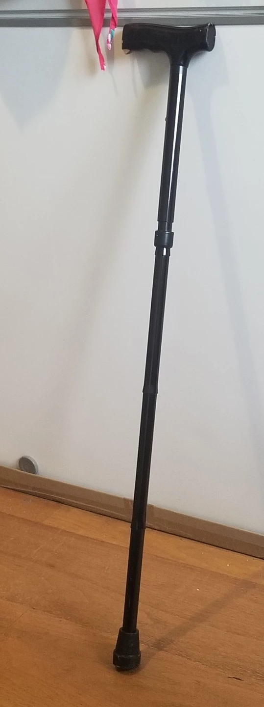 Metal adjustable cane