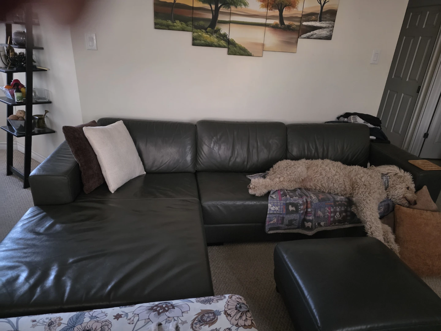 Dark Grey Leather Sectional Sofa with Ottoman - photo 2