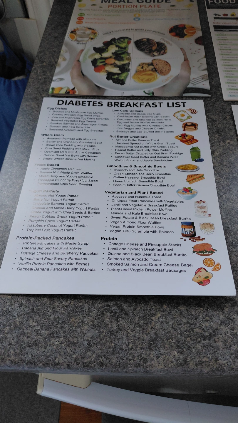 Diabetes Meal Plan Sheets - photo 2