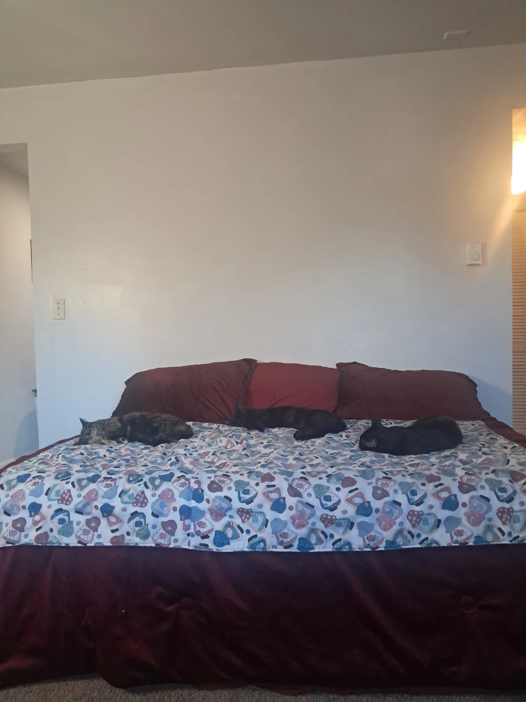 Queen bed bundle