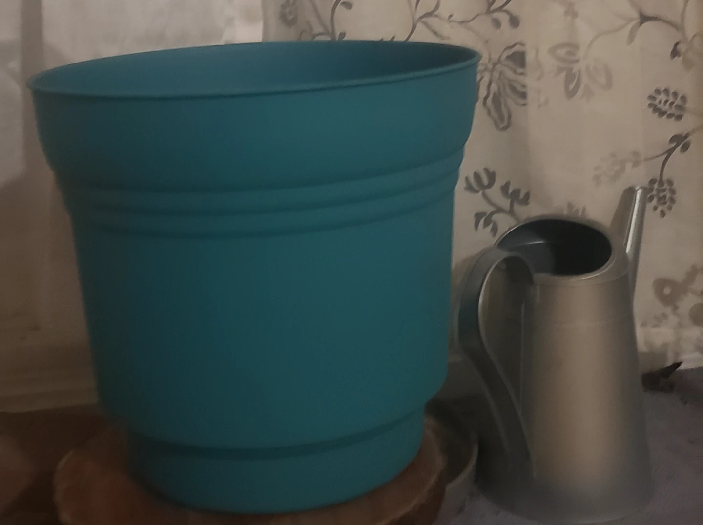 Assorted Plastic Plant Pots.  $5 each