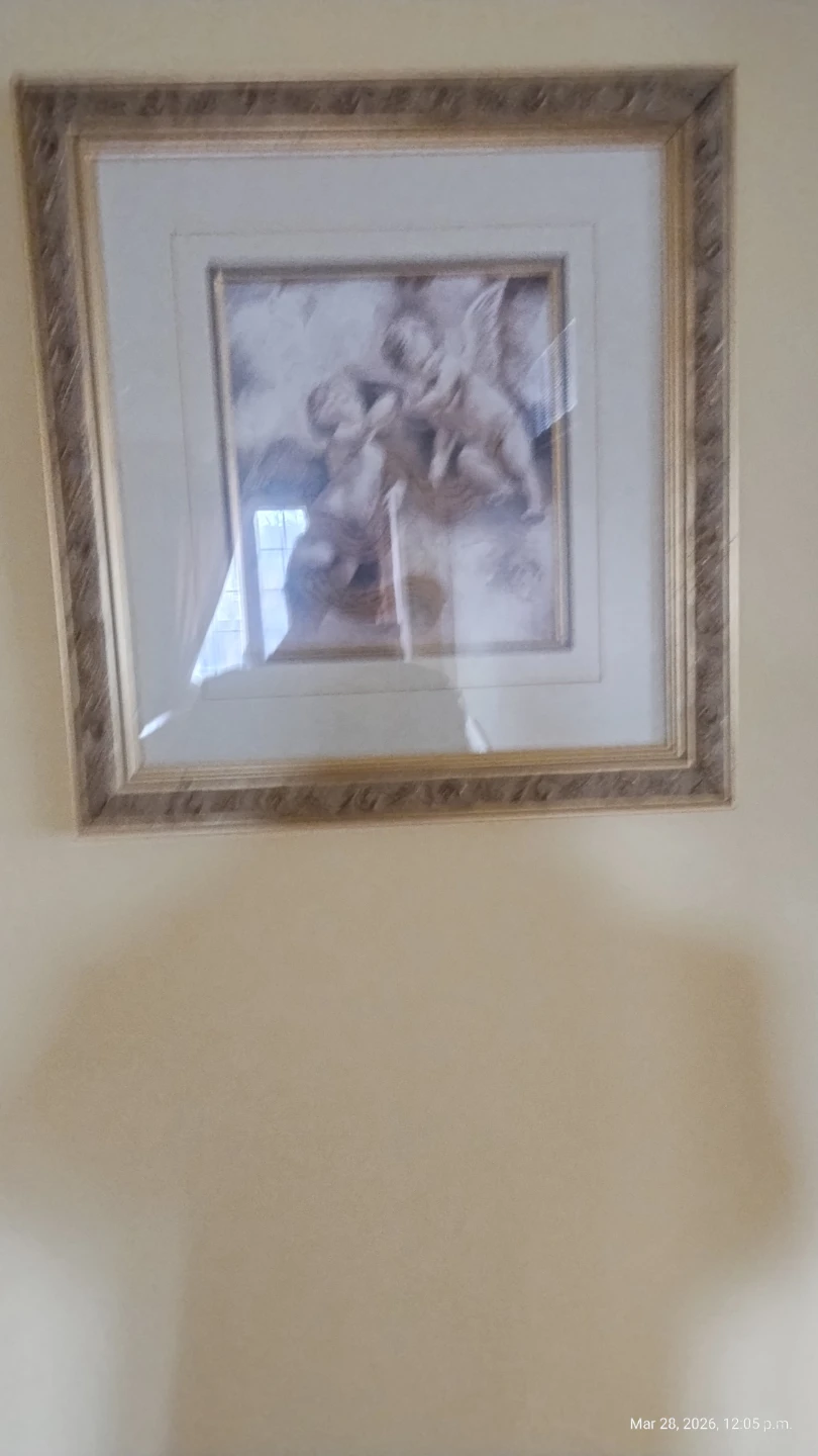 Framed Wall Art with Cherubs