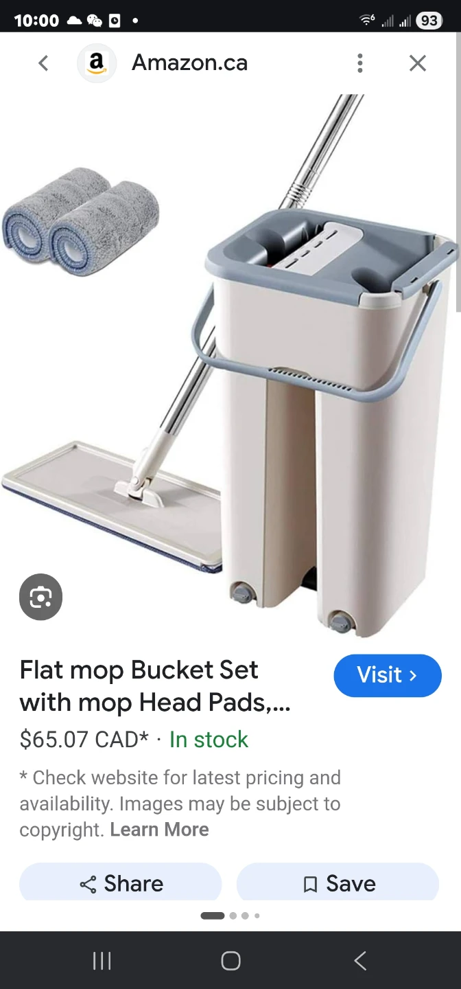 Flat Mop Bucket Set with Mop Head Pads