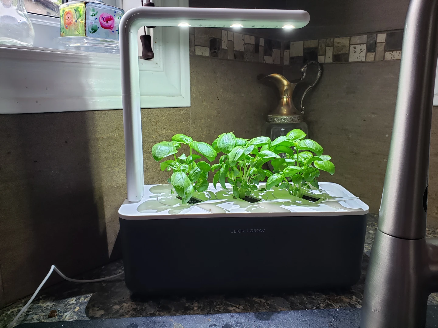 CLICK AND GROW 9 +3