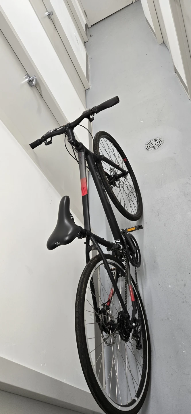BIKE - Pacific Glory City Trekking Bike - Size M (17 inch) - photo 5