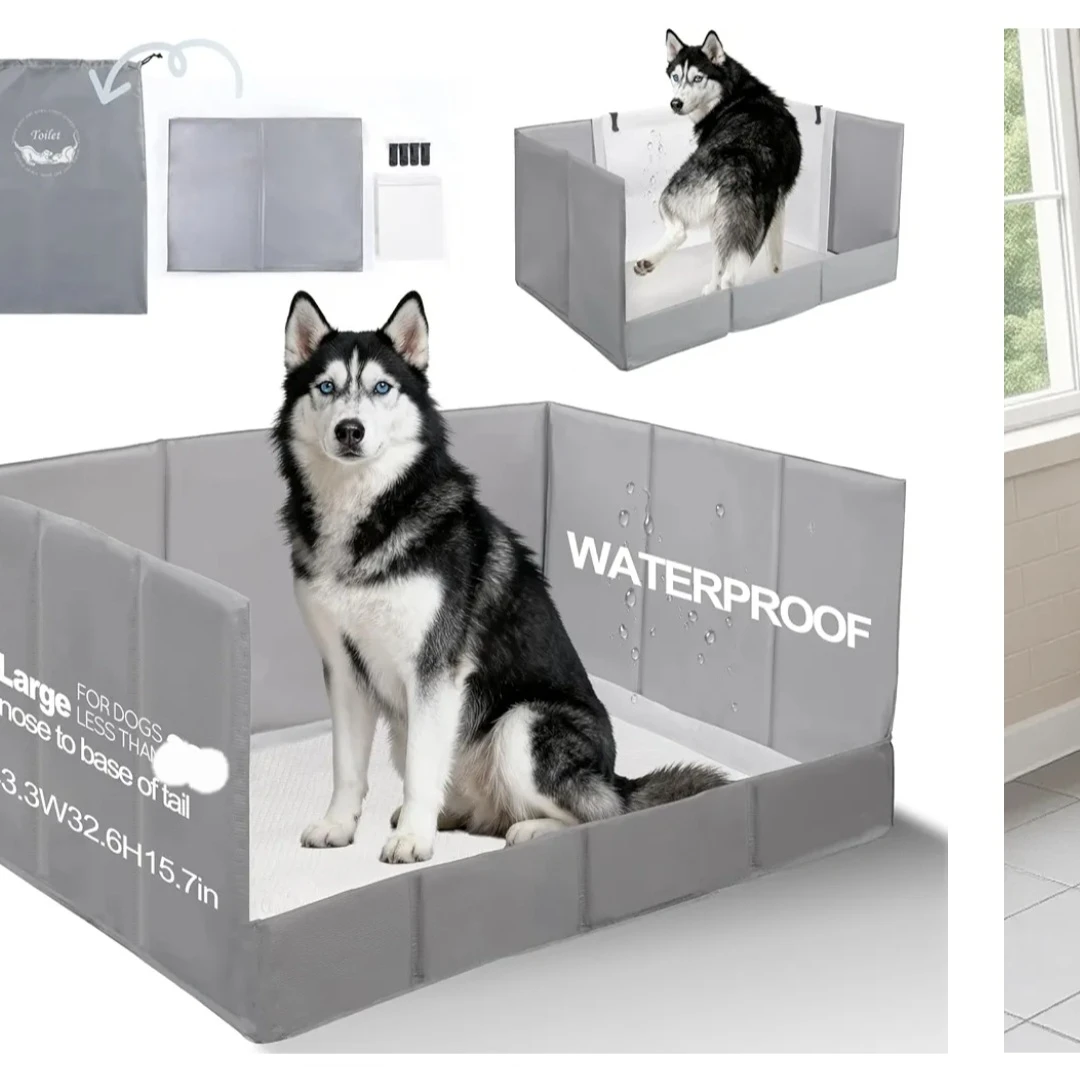 Dog Litter Box with High Walls - Large
