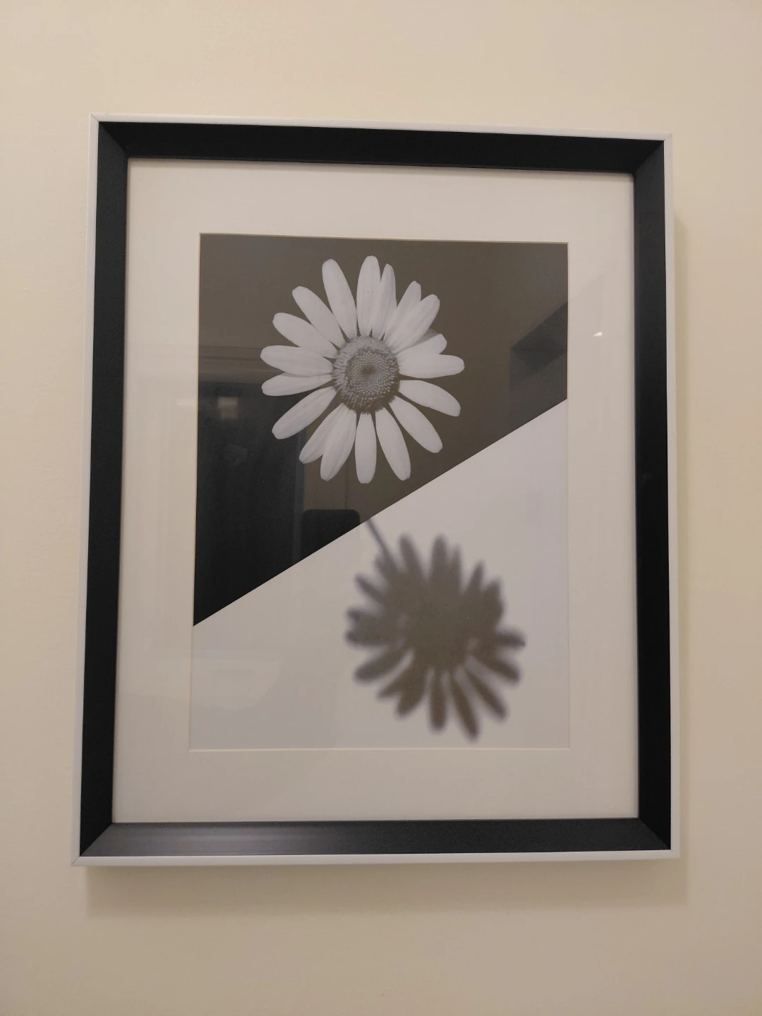Framed Black and White Daisy Art Print