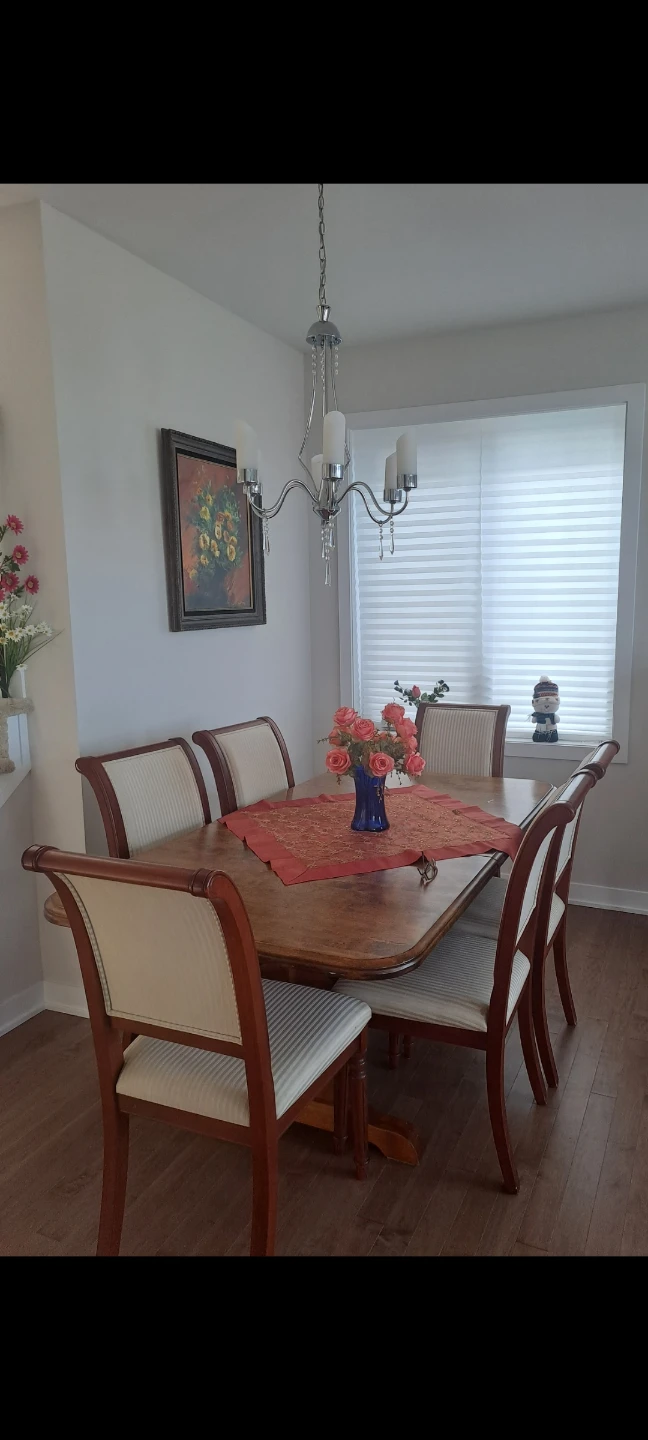 The Dining table  &  6 chairs