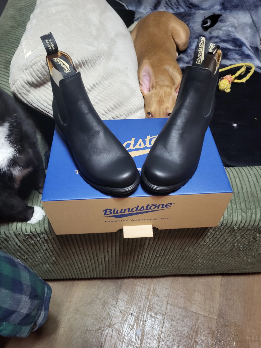 Blundstone Black Leather Chelsea Boots