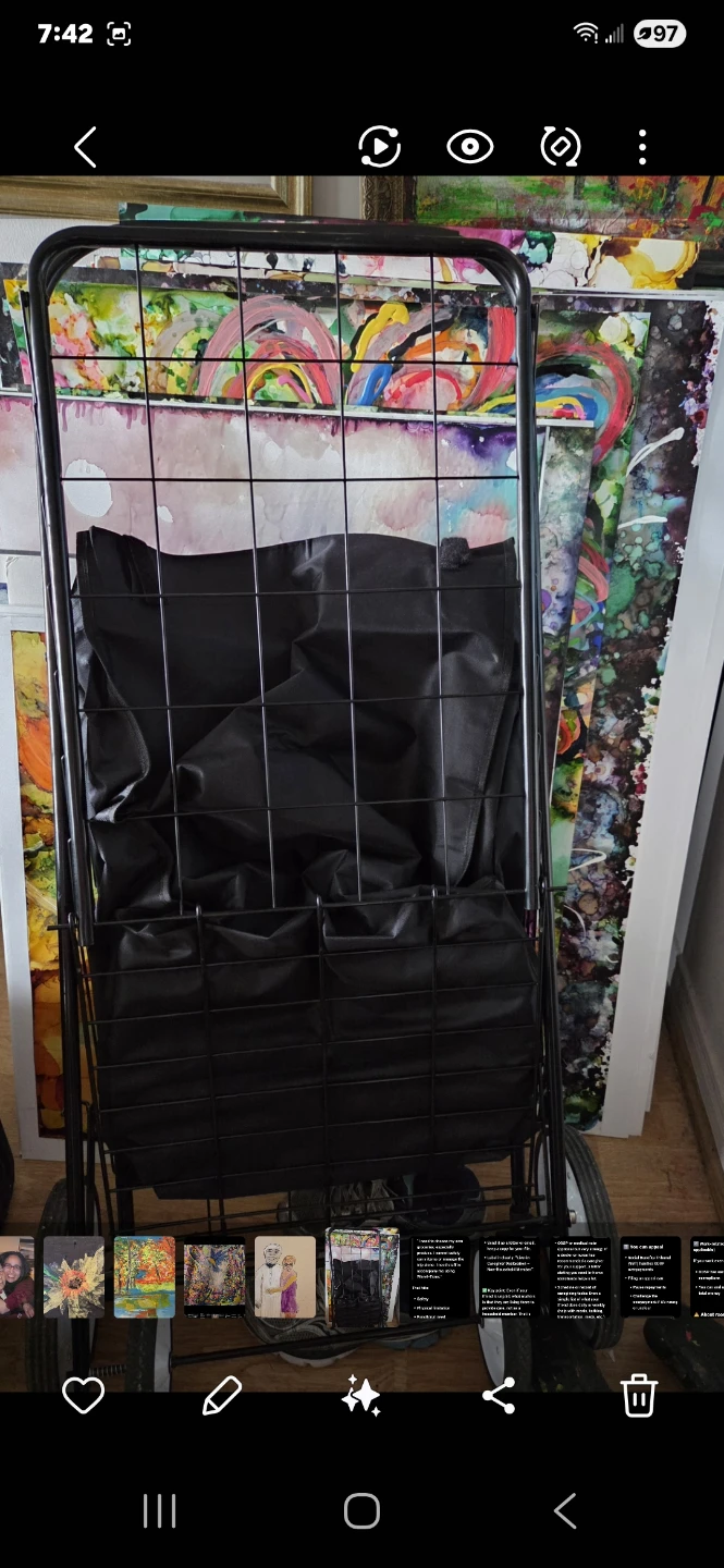 Black Rolling Shopping Cart