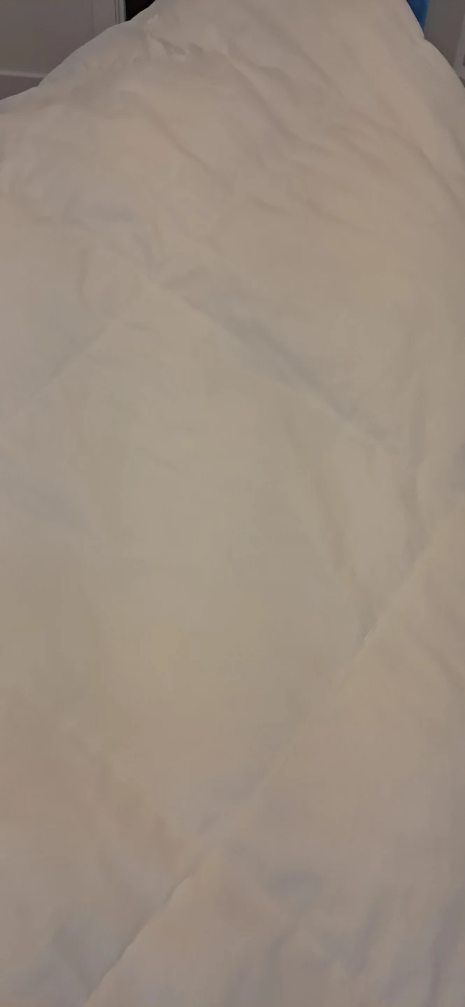 Down Duvet Comforter - photo 3