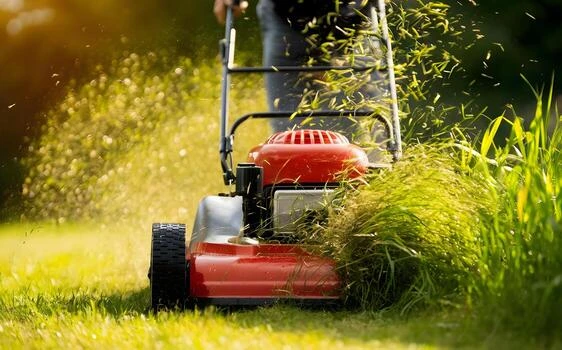 Grass Cutting